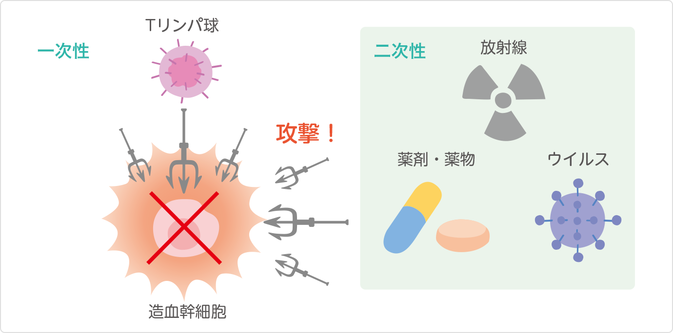 一次性 Tリンパ球 造血幹細胞 二次性 放射線 薬剤・薬物 ウイルス