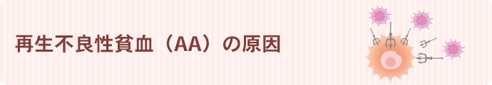 再生不良性貧血（AA）の原因