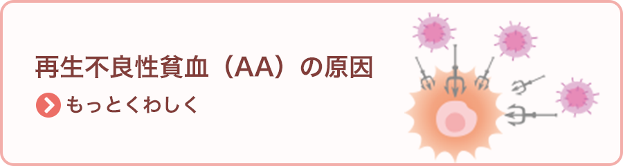 再生不良性貧血（AA）の原因 >もっとくわしく