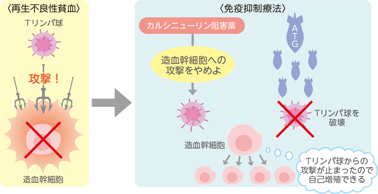 阻害薬治療図