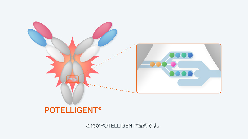 動画：POTELLIGENT®（ポテリジェント）技術