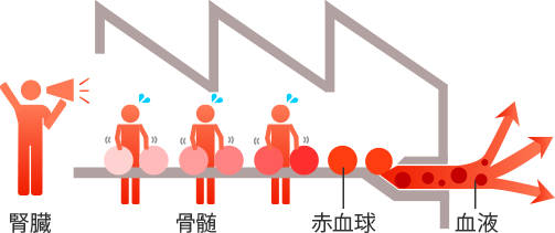 血圧をつくる司令官!