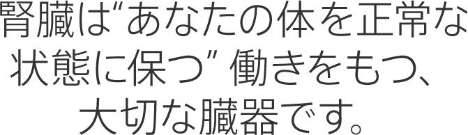 腎臓ってどんな働きをしている 知ろう ふせごう 慢性腎臓病 Ckd