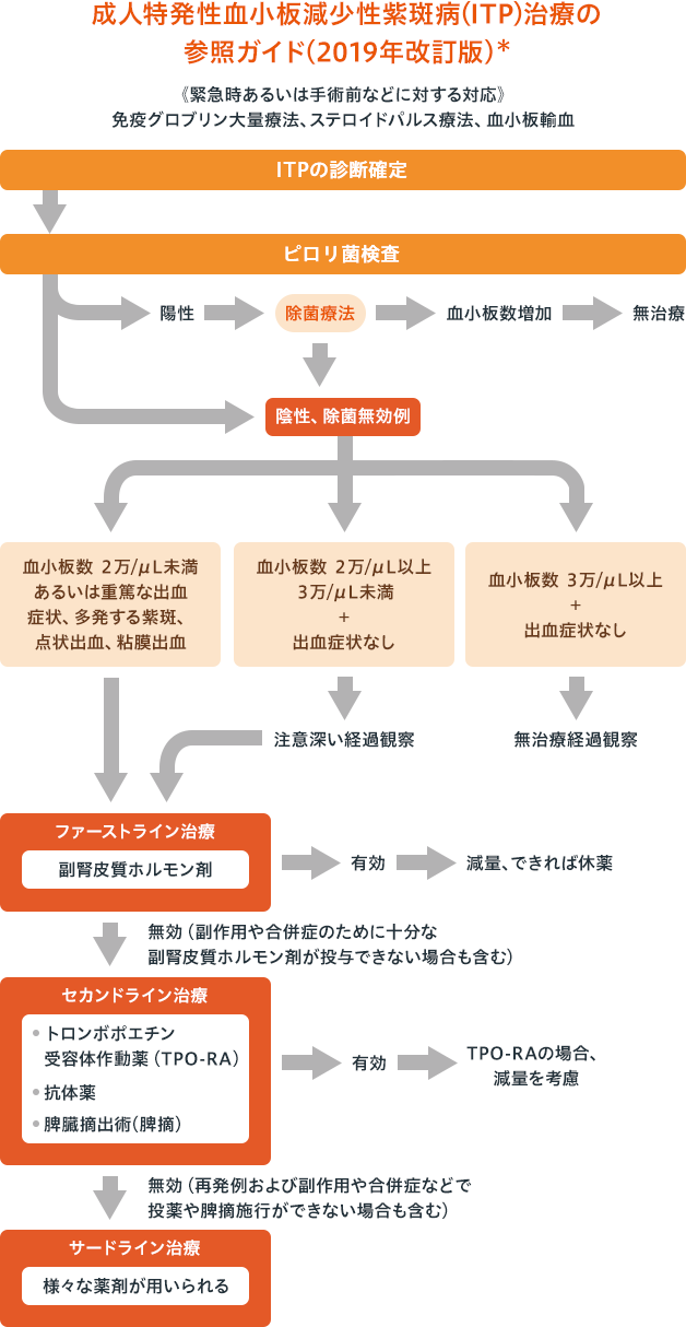 成人ITP 治療の流れ