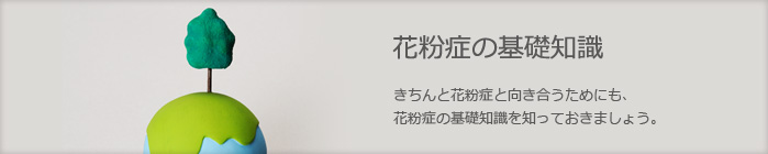 花粉症の基礎知識　きちんと花粉症と向き合うためにも、花粉症の基礎知識を知っておきましょう。