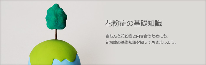 花粉症の基礎知識　きちんと花粉症と向き合うためにも、花粉症の基礎知識を知っておきましょう。