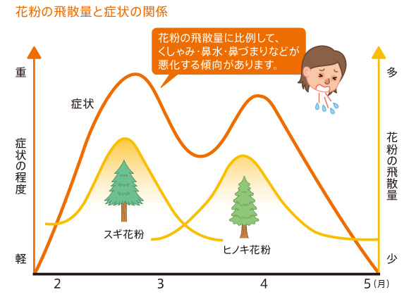 図:花粉の飛散量と症状の関係