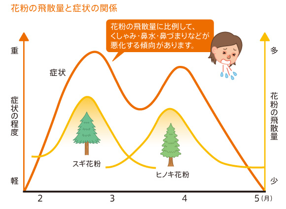 図：花粉の飛散量と症状の関係