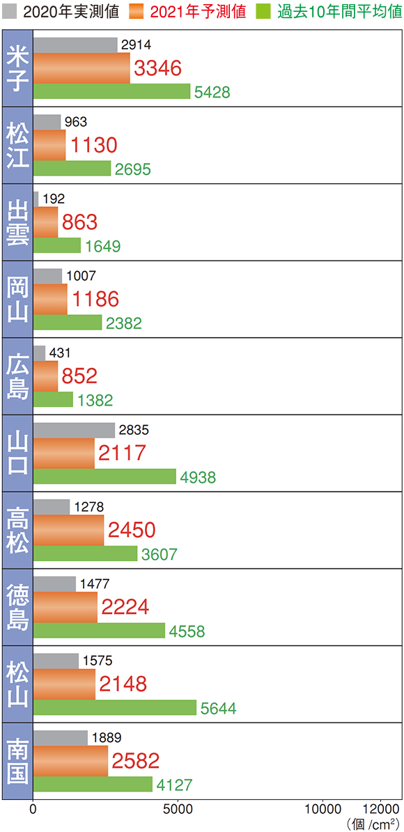 米子：2020年実測値2914個/平方cm,2021年予測値3346個/平方cm,過去10年間平均値5428個/平方cm、松江：2020年実測値963個/平方cm,2021年予測値1130個/平方cm,過去10年間平均値2695個/平方cm、出雲：2020年実測値192個/平方cm,2021年予測値863個/平方cm,過去10年間平均値1649個/平方cm、岡山：2020年実測値1007個/平方cm,2021年予測値1186個/平方cm,過去10年間平均値2382個/平方cm、広島：2020年実測値431個/平方cm,2021年予測値852個/平方cm,過去10年間平均値1382個/平方cm、山口：2020年実測値2835個/平方cm,2021年予測値2117個/平方cm,過去10年間平均値4938個/平方cm、高松：2020年実測値1278個/平方cm,2021年予測値2450個/平方cm,過去10年間平均値3607個/平方cm、徳島：2020年実測値1477個/平方cm,2021年予測値2224個/平方cm,過去9年間平均値4558個/平方cm、松山：2020年実測値1575個/平方cm,2021年予測値2148個/平方cm,過去10年間平均値5644個/平方cm、南国：2020年実測値1889個/平方cm,2021年予測値2582個/平方cm,過去10年間平均値4127個/平方cm