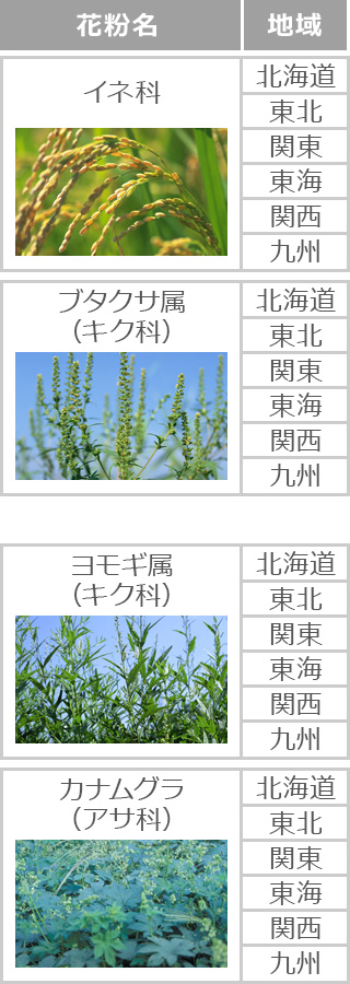 花粉カレンダー 花粉症ナビ