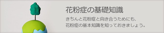 花粉症の基礎知識　きちんと花粉症と向き合うためにも、花粉症の基礎知識を知っておきましょう。