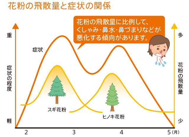 花粉の飛散量と症状の関係