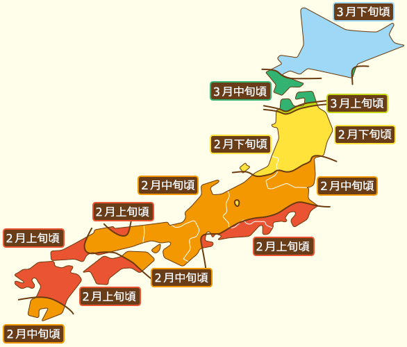 花粉 情報 今日