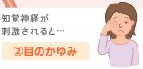 2.目のかゆみ 知覚神経が刺激されると…