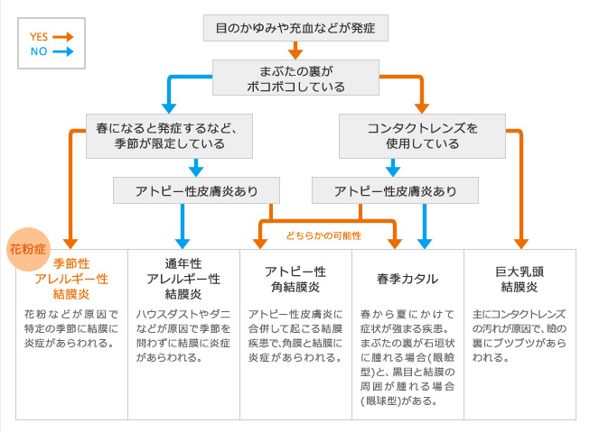 が 痛い 花粉 症 目 なぜ花粉症で「目が痛い」という症状が出るの？｜花粉症による目の痛み対策