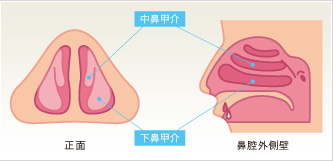 鼻づまり