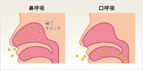 出る だけ 鼻水 片方 半分だけ花粉症？！(T_T)