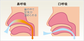 加湿器にもなる鼻