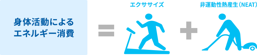 身体活動によるエネルギー消費