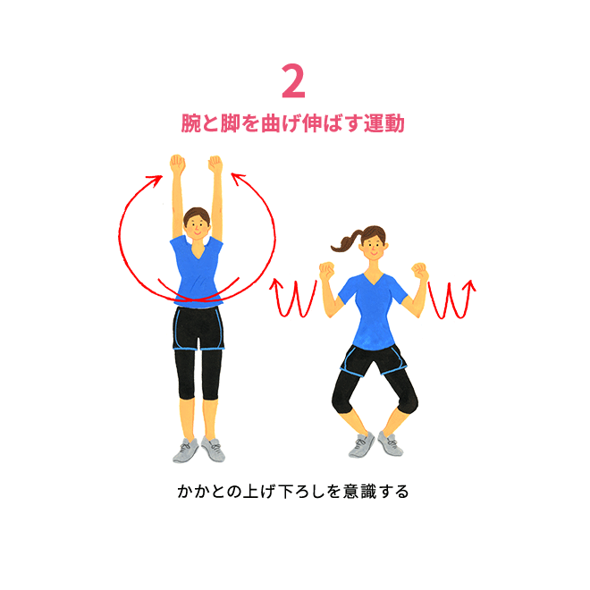 腕と足を曲げ伸ばす運動