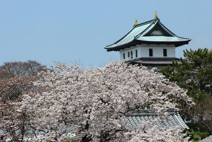 北海道｜松前公園