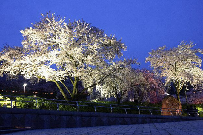 福井県|西山公園
