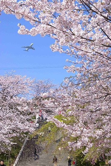 福岡県|西公園