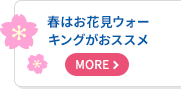 春はお花見ウォーキングがおススメ