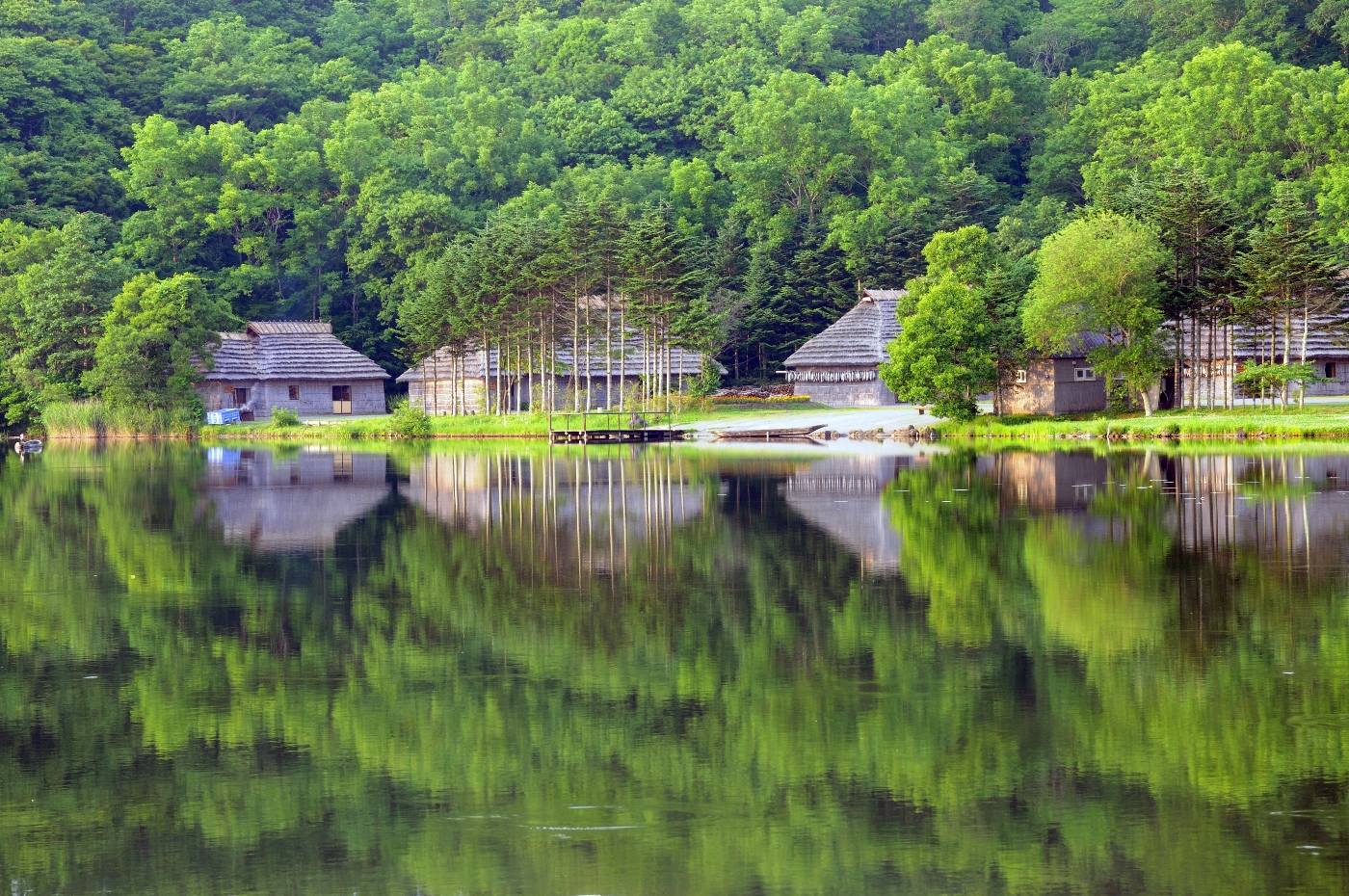 北海道|ポロトの森散策路