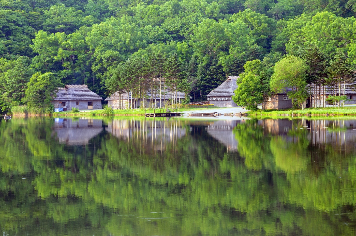 北海道｜ポロトの森散策路