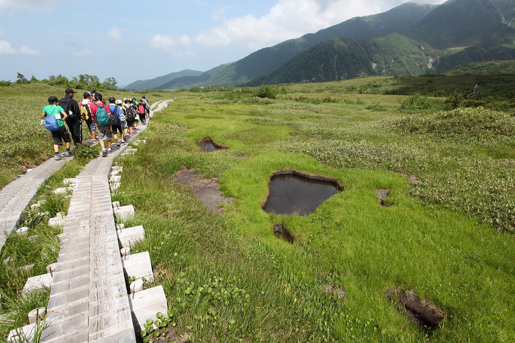 富山｜弥陀ヶ原遊歩道・松尾峠展望台周回コース