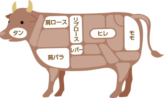 牛肉部位