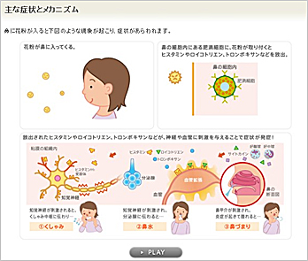 「花粉症のメカニズム」コーナー