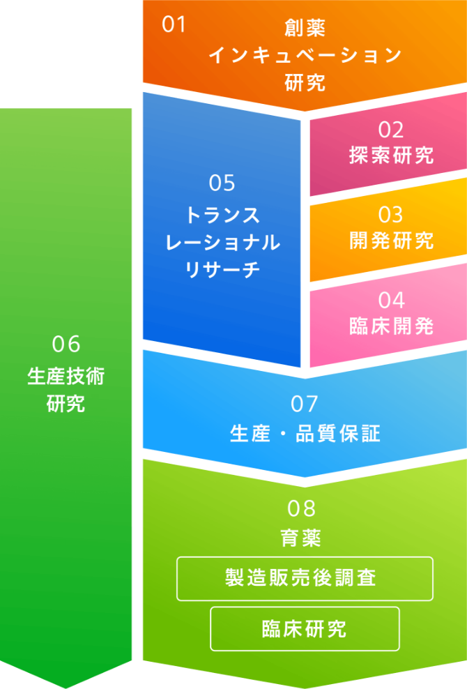 01創薬インキュベーション研究02探検研究03開発研究04臨床研究05トランスレーショナルリサーチ06生産技術研究07生産・品質保証08育薬（製造販売後調査、臨床研究）