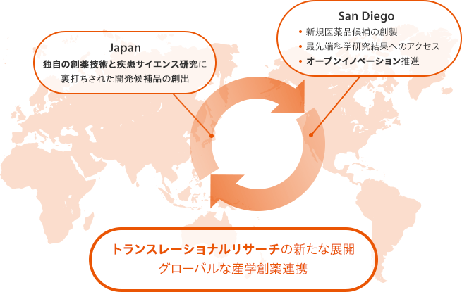 グローバルネットワーク 研究開発 協和キリン