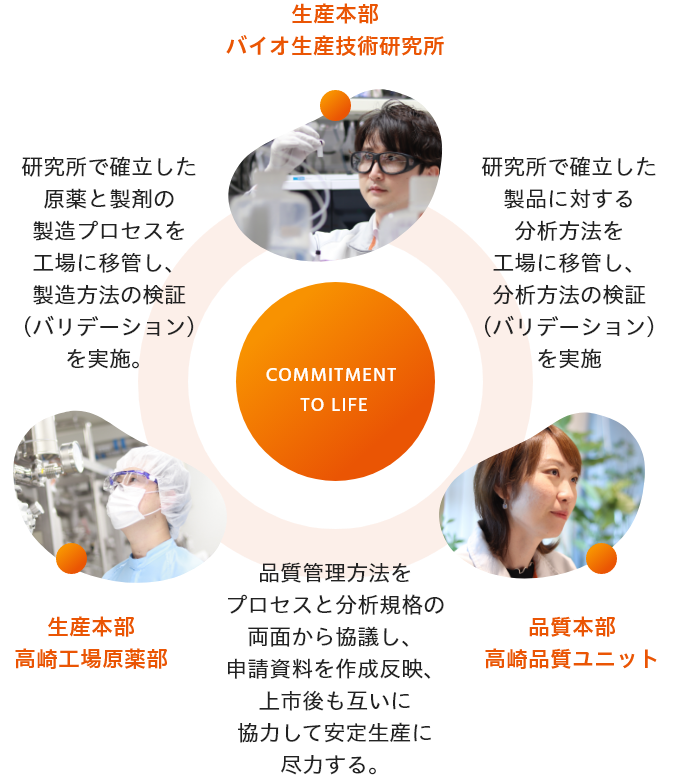 生産本部バイオ生産技術研究所 / 研究所で確立した製品に対する分析方法を工場に移管し、分析方法の検証（バリデーション）を実施→品質本部高崎品質ユニット / 品質管理方法をプロセスと分析規格の両面から協議し、申請資料を作成反映、上市後も互いに協力して安定生産に尽力する。→生産本部高崎工場原薬部 / 研究所で確立した原薬と製剤の製造プロセスを工場に移管し、製造方法の検証（バリデーション）を実施。