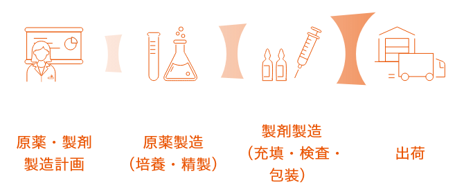 原薬・製剤製造計画→原薬製造（培養・精製）→製剤製造（充填・検査・包装）→出荷