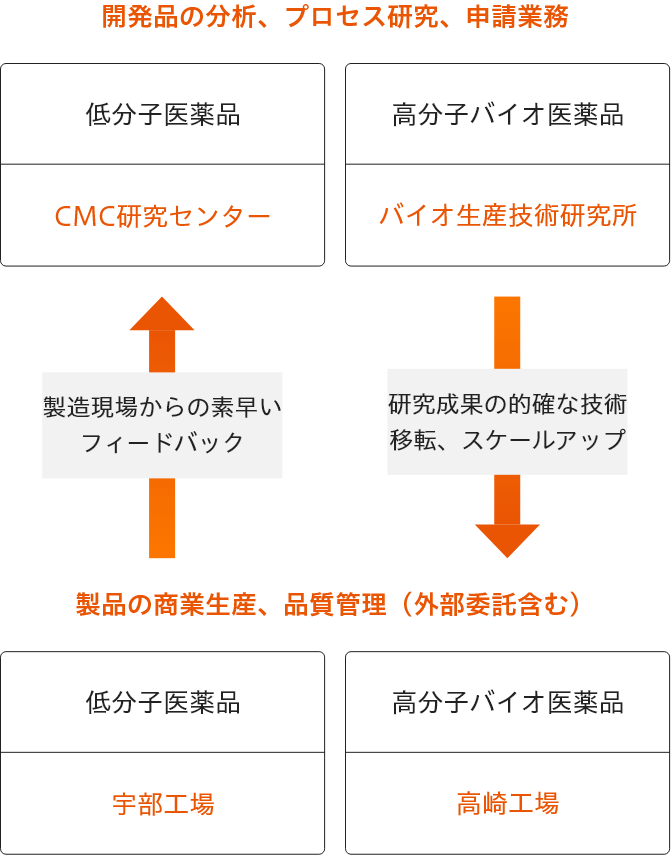 開発品の分析、プロセス研究、申請業務（低分子医薬品→CMC研究センター/高分子バイオ医薬品→バイオ生産技術研究所）製品の商業生産、品質管理（外部委託含む）（低分子医薬品→宇部工場/高分子バイオ医薬品→高崎工場）