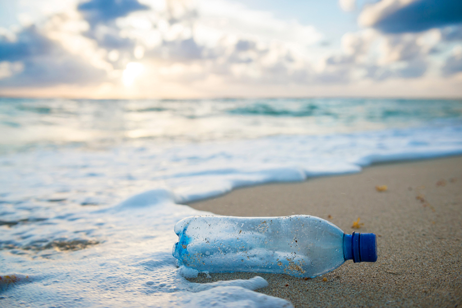海洋プラスチック問題の現状と「私たちにできること」を紹介