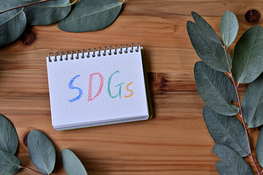 いまさら聞けない! SDGsのキホンを徹底的に質問してみた