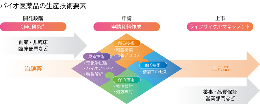 バイオ医薬品の生産に必要な「創る」「見る」「保つ」「磨く」 の4つの技術要素に最先端技術を組み合わせ、協和キリンのバ イオ医薬品生産を支えています。